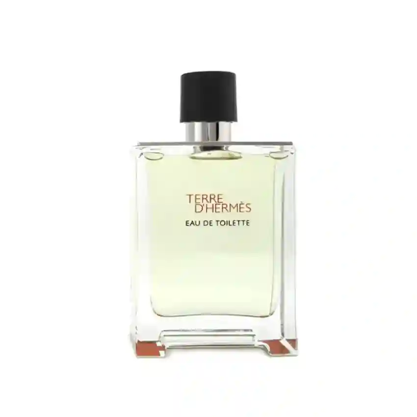 Tester Hermes Terre D'Hermes EDT 100 ml