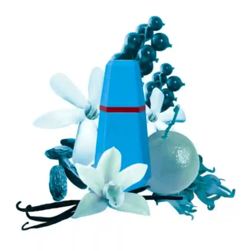 Cacharel Lou Lou EDP 50 ml