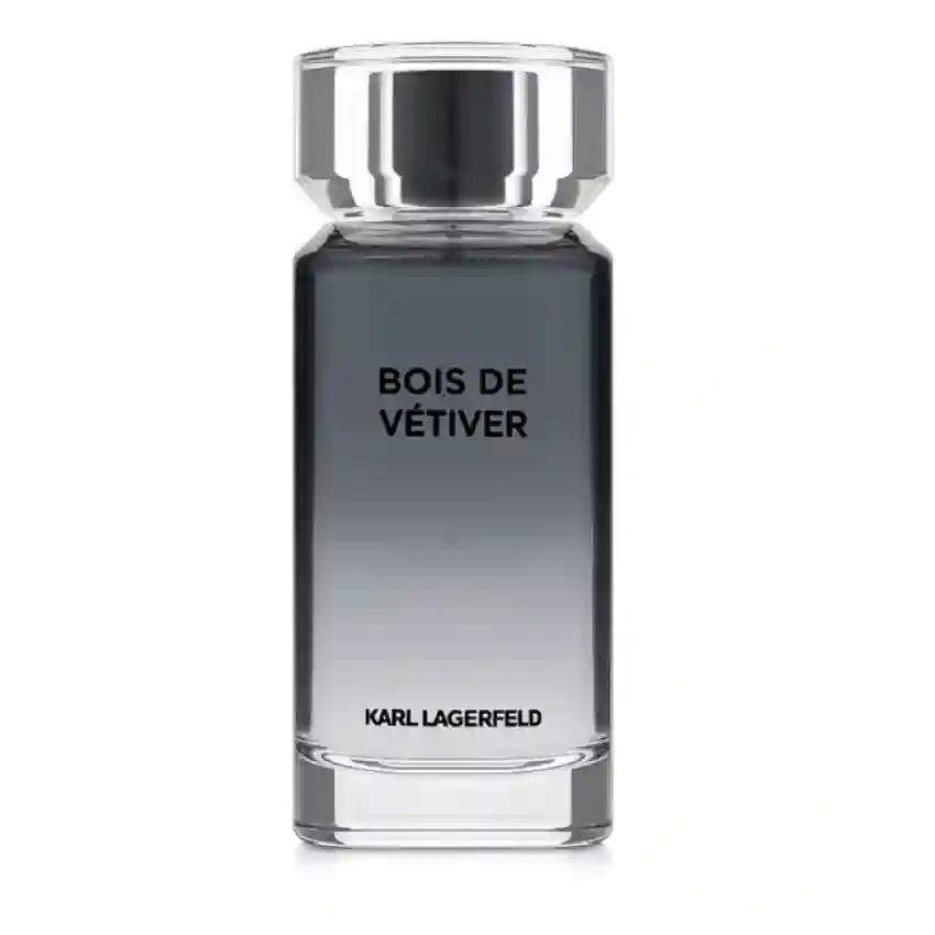 Karl Lagerfeld Bois de Vetiver EDT 100 ml