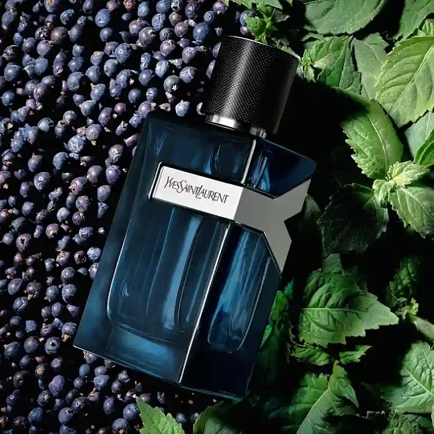 Yves Saint Laurent Y EDP Intense 100 ml