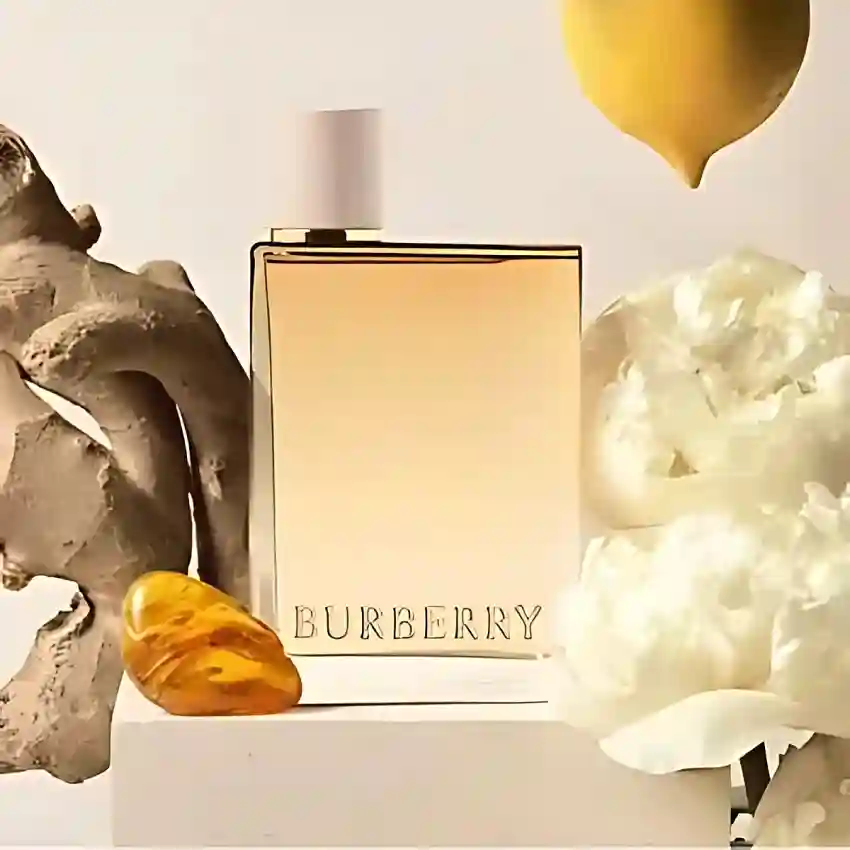 Burberry Her London Dream by Burberry EDP 50 ml