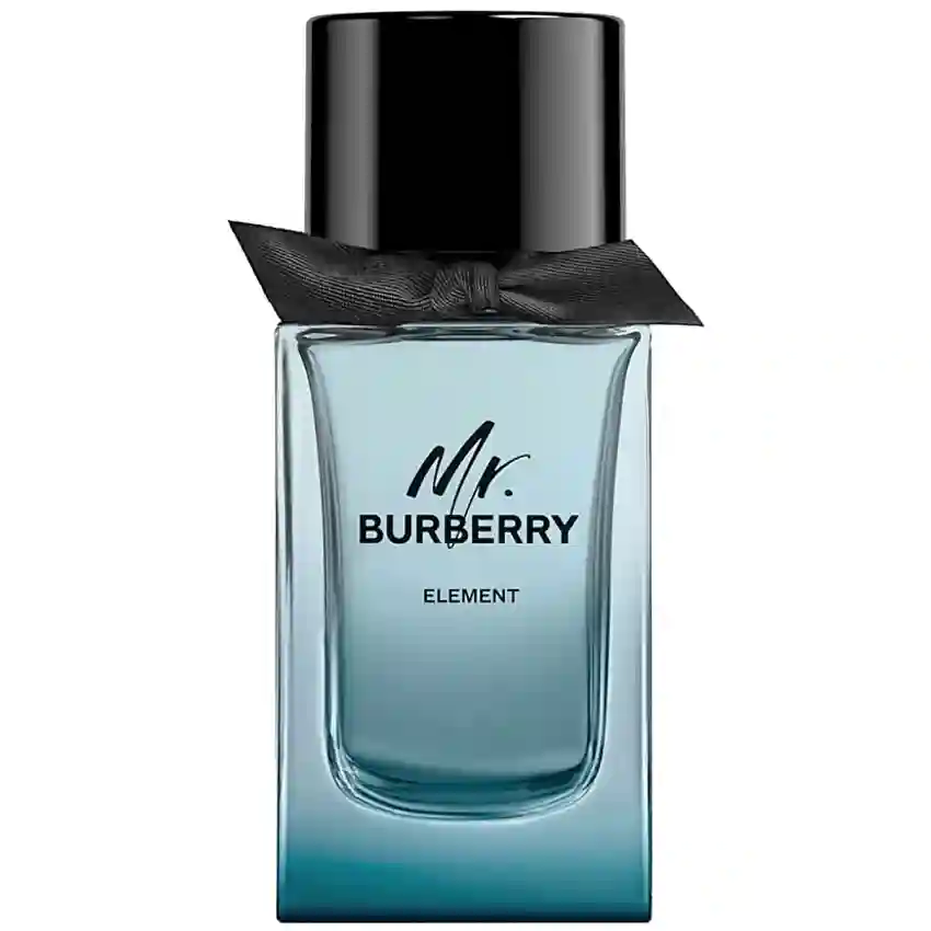Burberry Mr. Burberry Element EDT 100 ml
