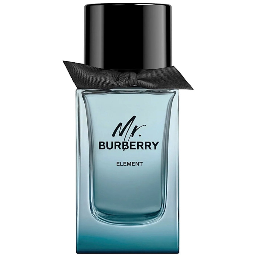 Burberry Mr. Burberry Element EDT 100 ml