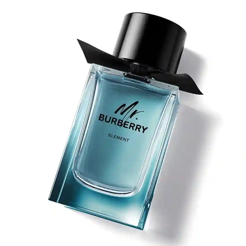 Burberry Mr. Burberry Element EDT 100 ml