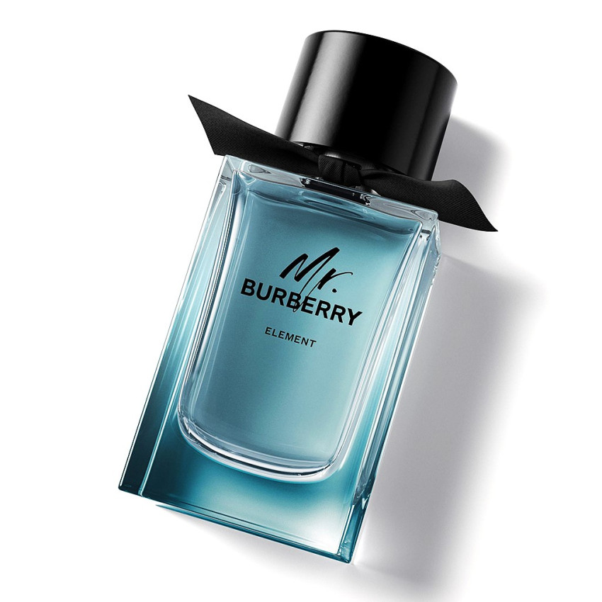 Burberry Mr. Burberry Element EDT 100 ml