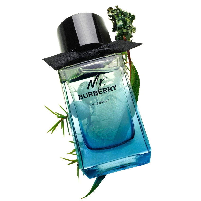 Burberry Mr. Burberry Element EDT 100 ml