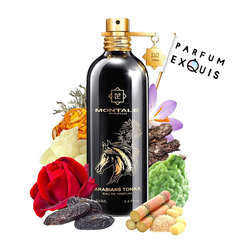Montale Arabians Tonka (Unisex) EDP 100 ml