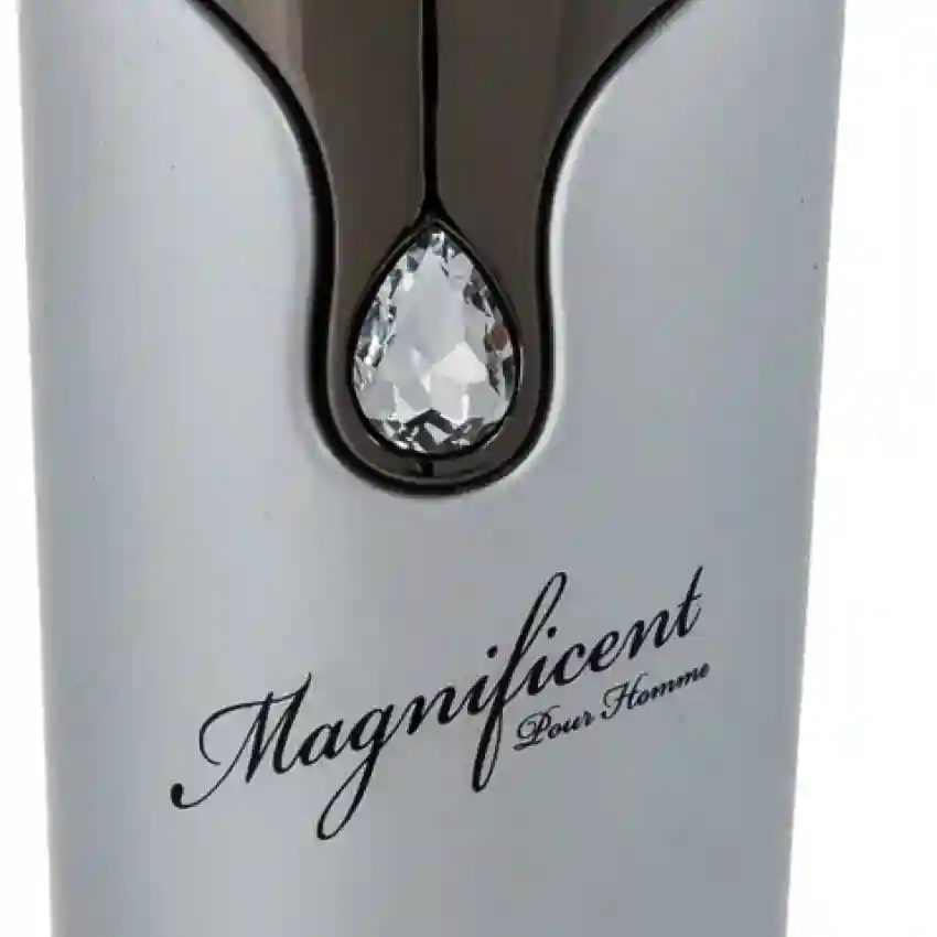 Armaf Magneficent Pour Homme EDP 100 ml