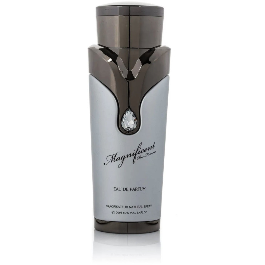 Armaf Magneficent Pour Homme EDP 100 ml