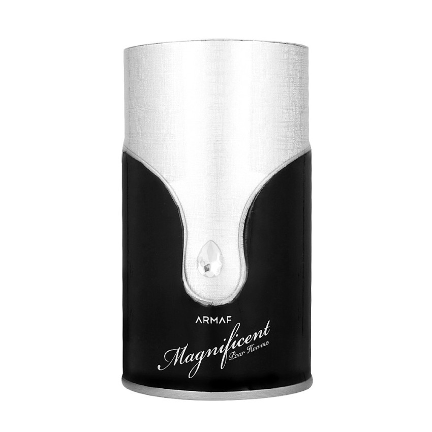 Armaf Magneficent Pour Homme EDP 100 ml