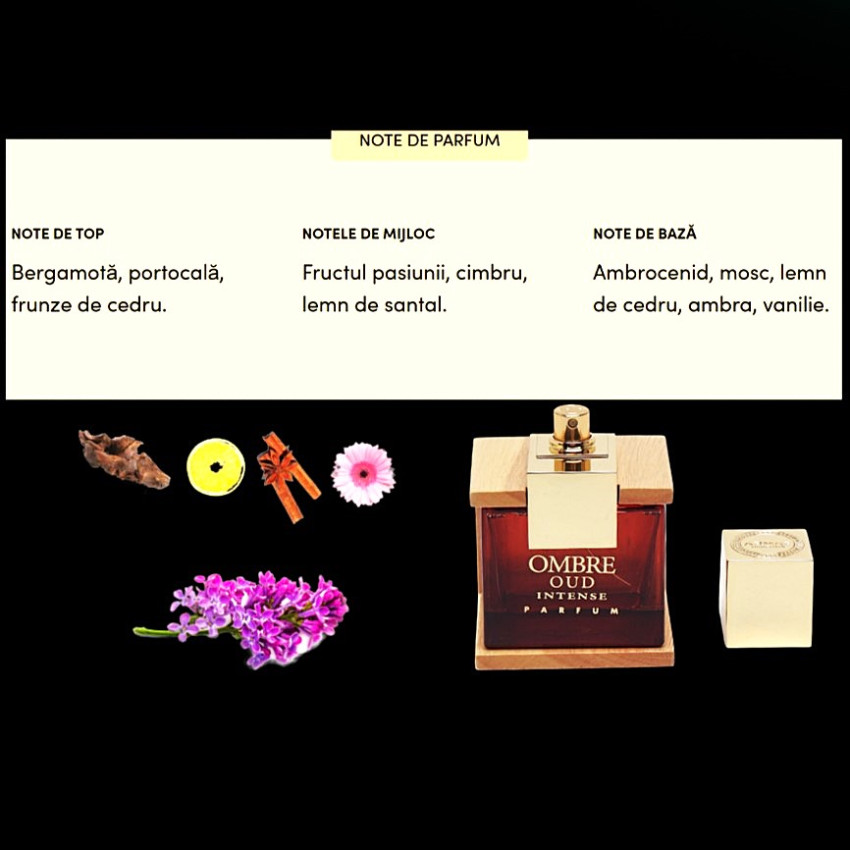 Armaf Ombre Oud Intense Parfum 100 ml