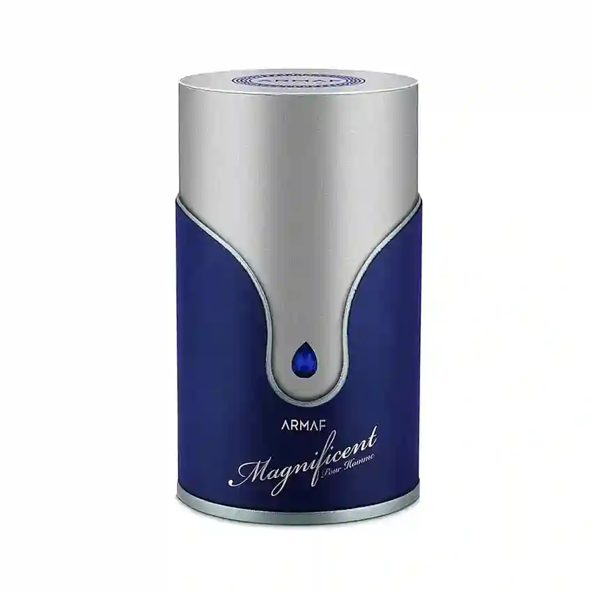 Armaf Magnificent Blue Pour Homme EDP 100 ml