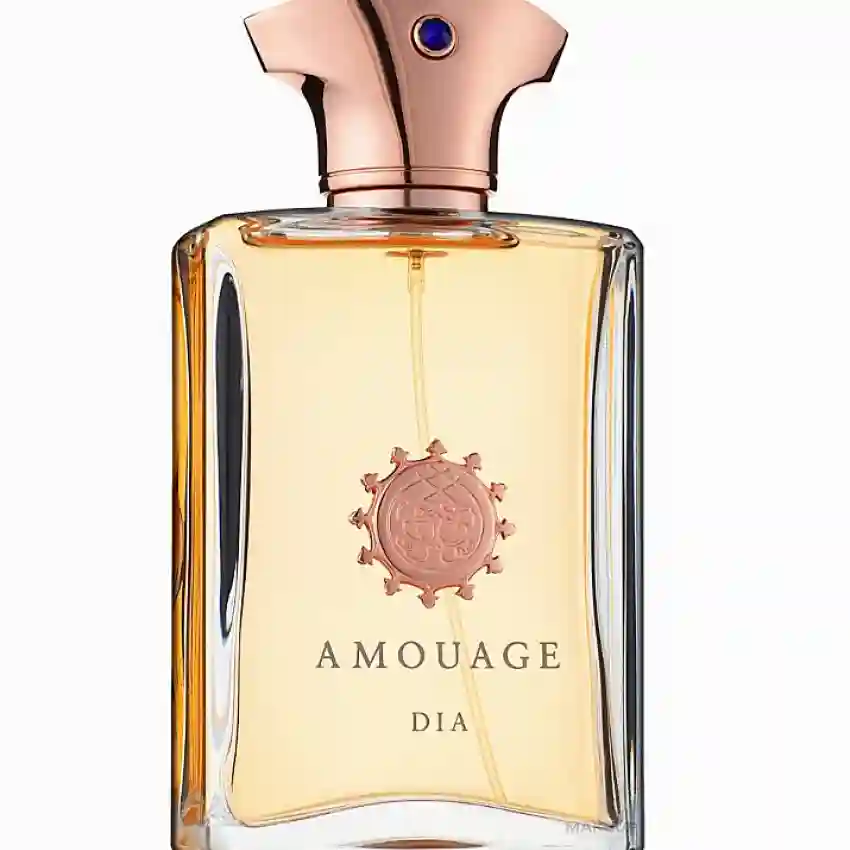 Amouage Dia Man EDP 100 ml