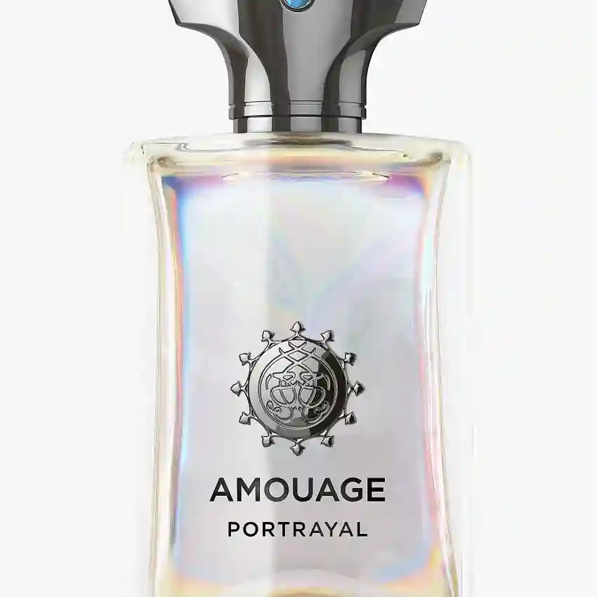 Amouage Portrayal Man EDP 100 ml