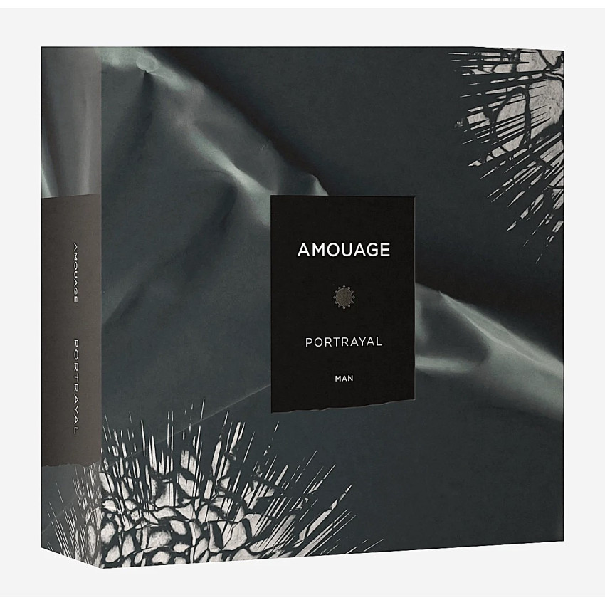 Amouage Portrayal Man EDP 100 ml
