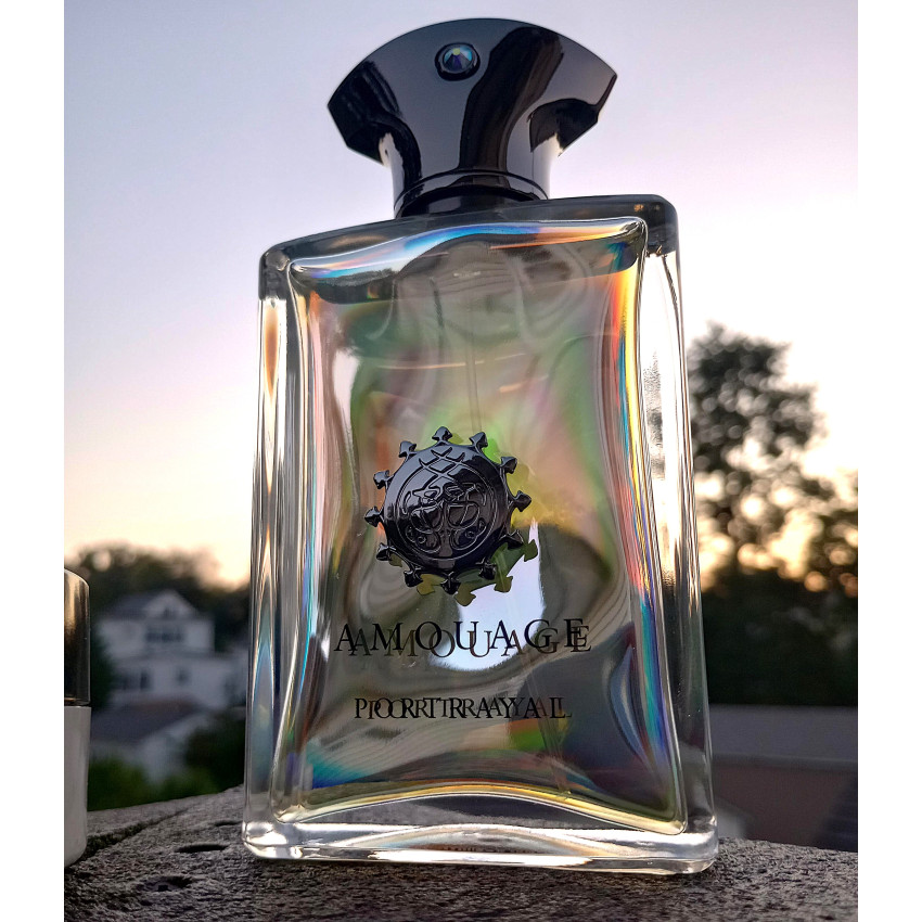 Amouage Portrayal Man EDP 100 ml