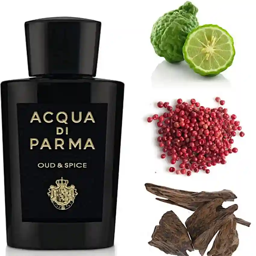 Acqua Di Parma Oud & Spice EDP 100 ml