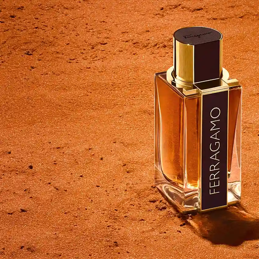 Salvatore Ferragamo Ferragamo Spicy Leather EDP 100 ml