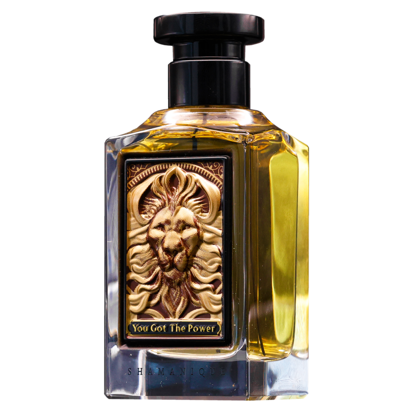 Shamanique You Got the Power Apă de Parfum Unisex 100ml Parfum