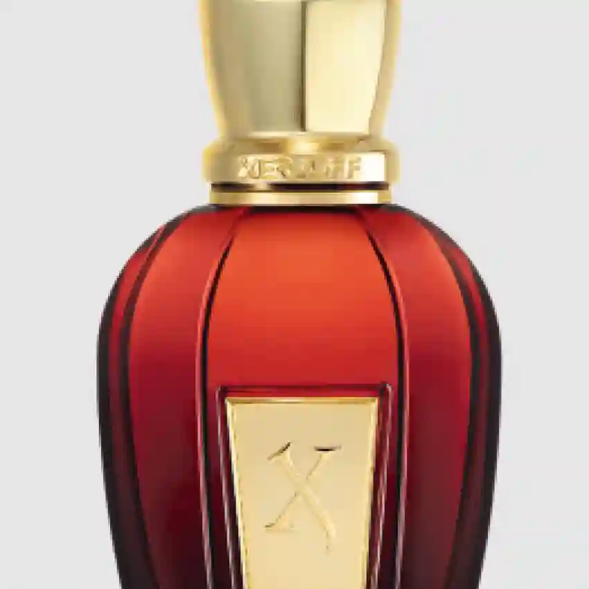 Xerjoff Coffee Break Golden Moka (Unisex) EDP 50 ml