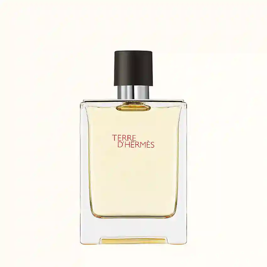 Hermes Terre D'Hermes EDT 200 ml
