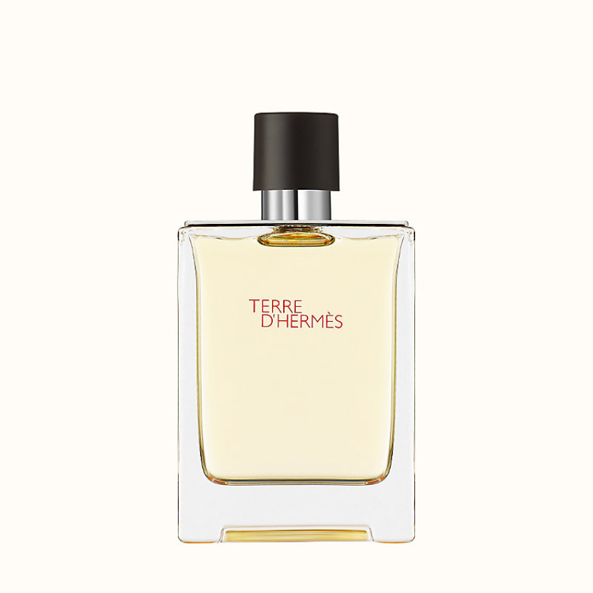 Hermes Terre D'Hermes EDT 200 ml