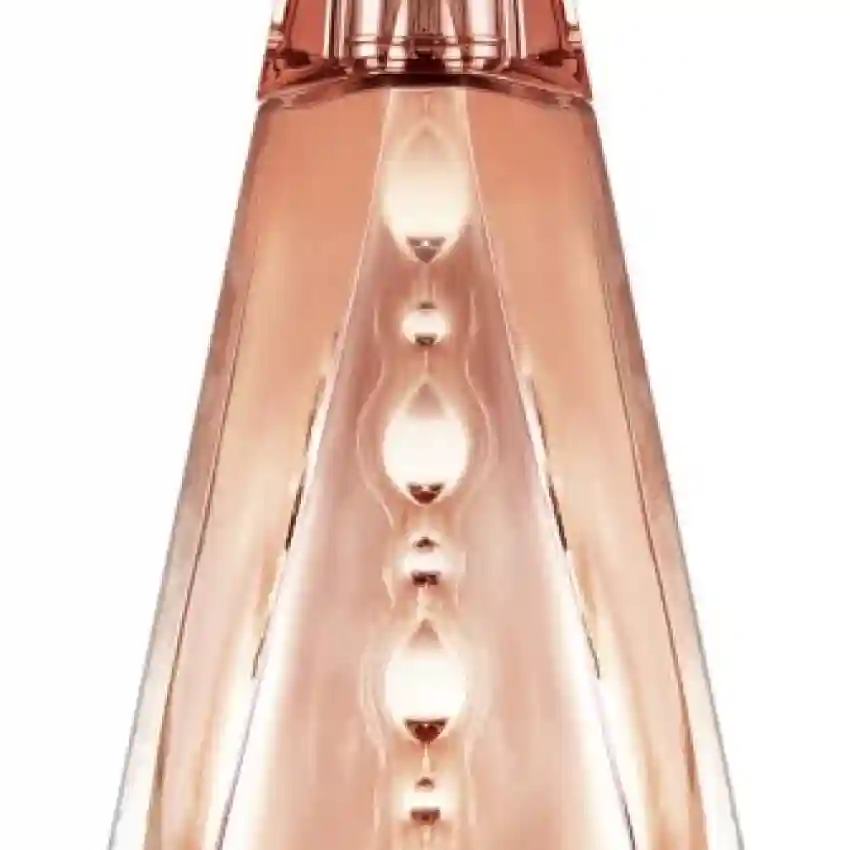 Givenchy Ange ou Démon Le Secret EDP 100 ml