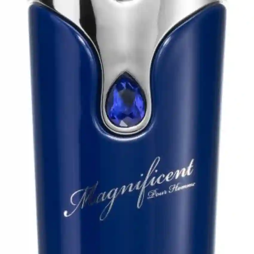 Armaf Magnificent Blue Pour Homme EDP 100 ml