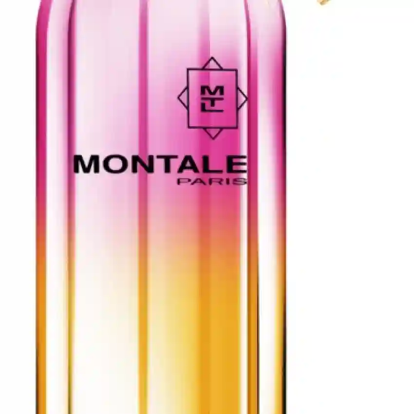 Montale Aoud Legend (Unisex) EDP 100 ml